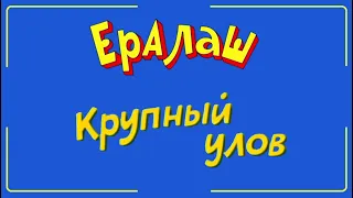 Рыбалка Приколы | Крупный Улов