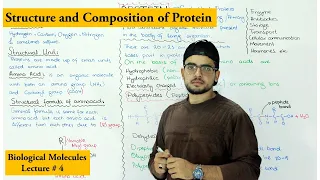Protein Structure and Composition