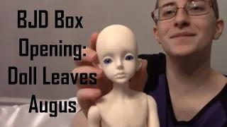 BJD Box Opening: Doll Leaves Augus