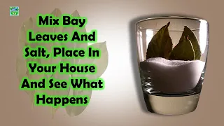 Mix Bay Leaves And Salt, Place In Your House And See What Happens