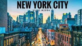 NEW YORK CITY | My Trucking Life | Vlog #2994