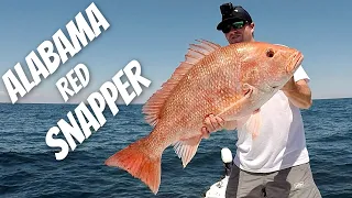 The Best Red Snapper Fishery In The Gulf Of Mexico Right HERE!