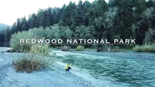 The Best of Redwood National Park