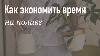 №87. Как реже поливать комнатные растения. Горшки с автополивом и способы полива растений в отпуске.