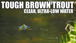 ULTRA-LOW, CLEAR Water Brown Trout Fly Fishing - Tough Condition Tactics and Shy Brown Trout