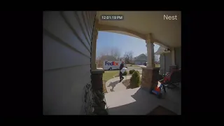 FedEx vs UPS Delivery