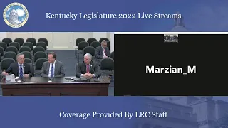 House Standing Committee on Local Government (3-23-22)
