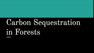 Carbon Sequestration in Forests