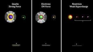 Classroom Aid - Weak Force W and Z Bosons