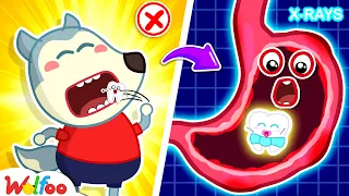 What If We Swallow Baby Teeth ? - Educational Video For Kids 🤩 Wolfoo Kids Cartoon