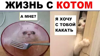 Лютые приколы. ЖИЗНЬ С КОТОМ. Угарные мемы