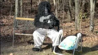 BIGFOOT BABYMAMA CAUGHT ON TAPE