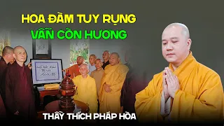 Hoa đàm tuy rụng vẫn còn hương - Thầy Thích Pháp Hòa (rất xúc động)