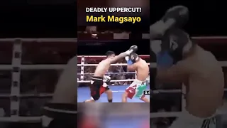 Deadly Uppercut! The Dangerous Speed of Mark Magnifico Magsayo!