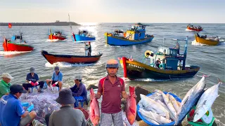 Lưới Rút Chong Đèn Trúng Mẻ Mực Ống Lớn | Cá Bớp Nướng Canh Tôm Bầu