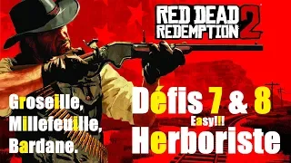 Défis Herboriste 7 et 8 Positions Groseille , Millefeuille Red Dead Redemption 2