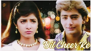 Dil Cheer Ke Dekh Tera Hi Naam Hoga | Divya Bharti | Kumar Sanu | 90's Hits Song | Cover Song