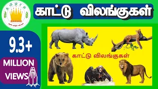 30 காட்டு விலங்குகள்| Kattu vilangugal | 30 Tamil Wild animals name video for Kids | Adipadai Tamil