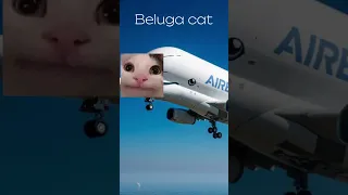 I’m a Airbus Beluga 😡 #a330 #airbusbeluga #airplane #airport