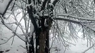 Chitral #relaxing #viralvideo #beautifulnature #snowfall #new #viralvideo #trending