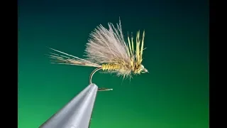 Tying a Sulphur Dun with Barry Ord Clarke