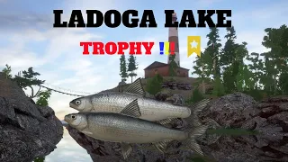 Russian Fhising 4 RF4 -LADOGA LAKE-Ludoga Trophy Whitefish good spot to look for the trophy