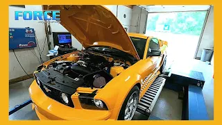 2007 Mustang GT | 3v 4.6 Cams, Intake | Bolt ons | Dyno Review
