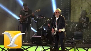 Yusuf Cat Steven,  If You Want To Sing Out, Festival de Viña 2015 HD 1080p