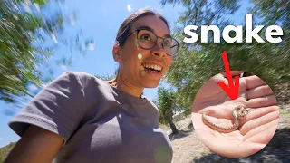 Hunting for Snakes in the Wild!