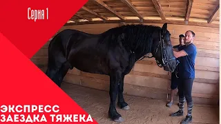 Заездка тяжеловоза за 10 дней. Первое занятие. Разбор ошибок.