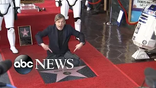 Mark Hamill receives his star on the Hollywood Walk of Fame