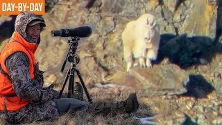 Searching for GRUBBY! | Late Season Mountain Goat DAY BY DAY (ep.1)