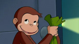 Georges le Petit Singe 🐵 La chasse au criquet 🐵Saison 1  🐵 Dessins Animés