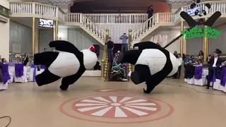 Panda Show Azerbaijan. Möhtəşə yeni il şənliyi!!!