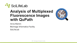 Introduction to QuPath for Multiplexed Fluorescence Microscopy