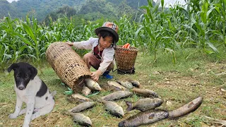 The poor girl, trying to make a living, hooks bait and carries a cage into the lake to trap fish