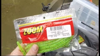 Chartreuse Zoom worm putting in work - Ep3