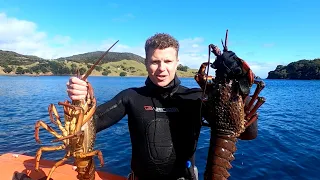 Freediving for Huge Lobster (Crayfish) in New Zealand! Incredible Winter diving with clear water!