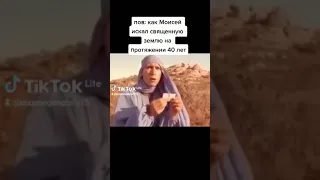 путешественник в пустыне мем