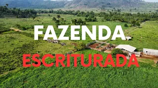 Fazenda escriturada em São Félix do xingu Pará.  30 alqueires