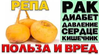 РЕПА - ПОЛЬЗА И ВРЕД  (ЗАБЫТЫЙ КОРНЕПЛОД)