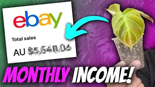 How much I earn selling plants on eBay (and how you can do it too) | Online Plant Business