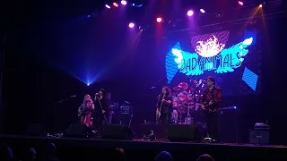 Bad Animals (Heart Tribute) at The Landis Theater 10-08-22 All I Wanna Do Is Make Love to You