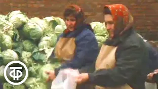 Техника для овощных баз. Добрый вечер, Москва! Эфир 9 ноября 1987