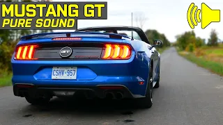 AMAZING SOUND! - Ford Mustang GT Premium w/ Active Exhaust - Pure Sound