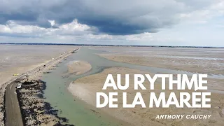 Au rythme de la marée