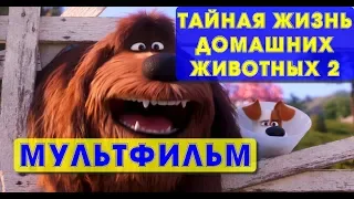 Мультфильм про собаку Тайная жизнь домашних животных 2 забавный семейный мультик 2019