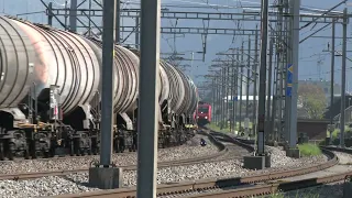 Schweiz: Züge in Flüelen