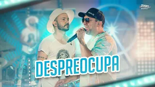 Samba Tipo Exportação - Despreocupa (Ao Vivo em Goiânia)