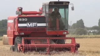 Massey Ferguson 530 combine, on Winter Barley. August 2016.